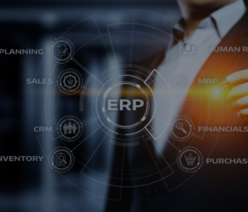 Comprehensive company management - ERP system