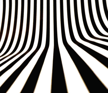 Ewolucyjna zmiana: Rozwój oprogramowania dla Zebra.